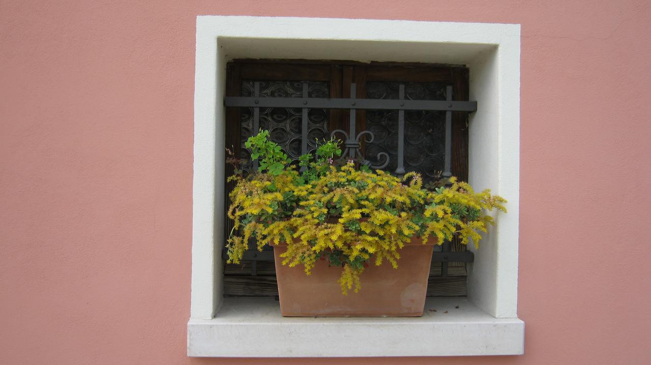 La Residence Da Caterina Vittorio Veneto Buitenkant foto