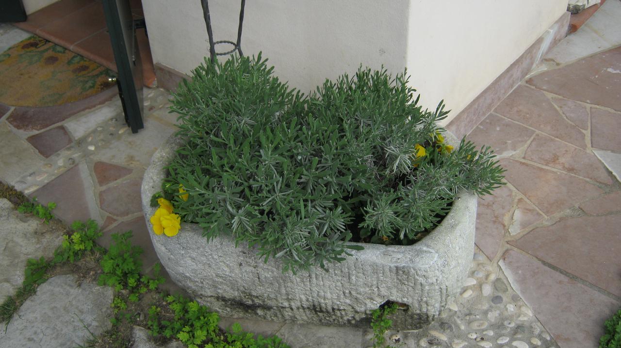 La Residence Da Caterina Vittorio Veneto Buitenkant foto